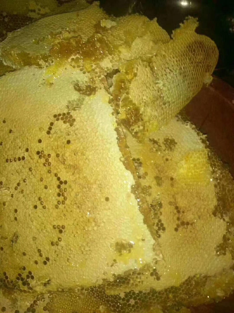 蜂蜜口感好来自深山峡谷。要需要的朋友赶紧联系