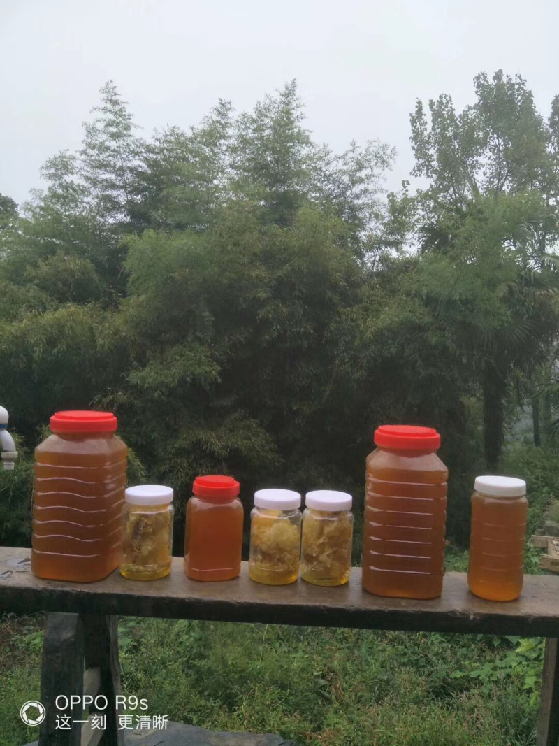 蜂蜜口感好来自深山峡谷。要需要的朋友赶紧联系