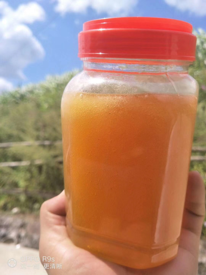 蜂蜜口感好来自深山峡谷。要需要的朋友赶紧联系
