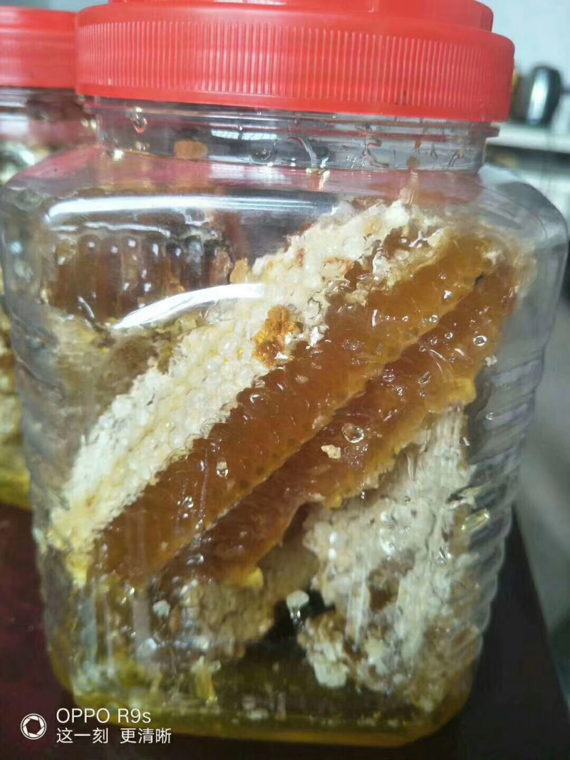 蜂蜜口感好来自深山峡谷。要需要的朋友赶紧联系
