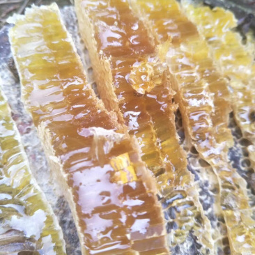 蜂蜜口感好来自深山峡谷。要需要的朋友赶紧联系