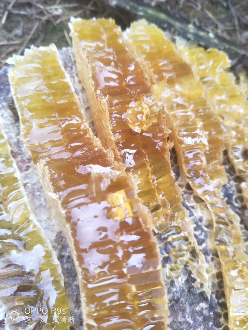 蜂蜜口感好来自深山峡谷。要需要的朋友赶紧联系