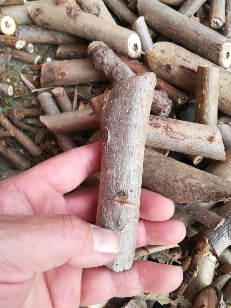 野生核桃树枝晒干山核桃枝有猴脸中药材