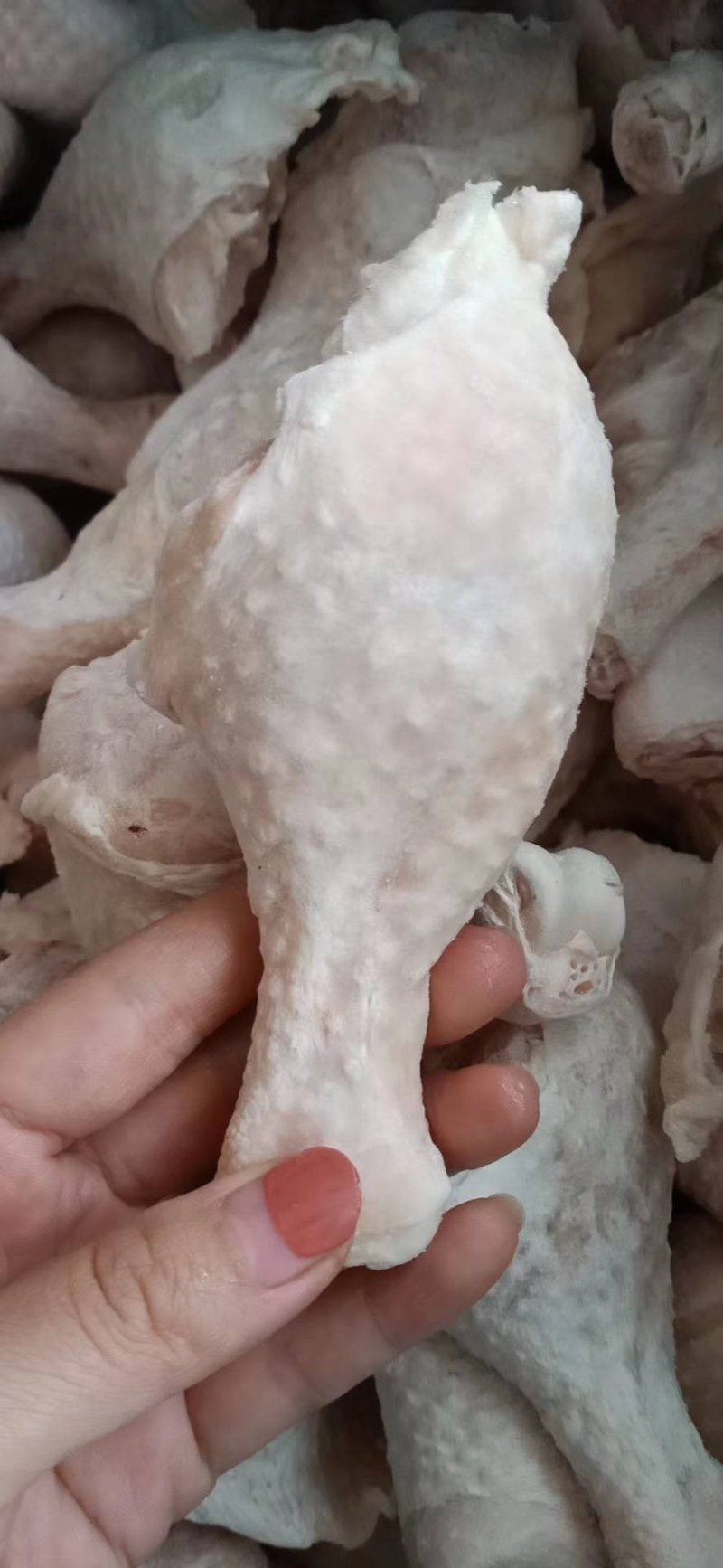 批发大厂琵琶腿，质量好价格优