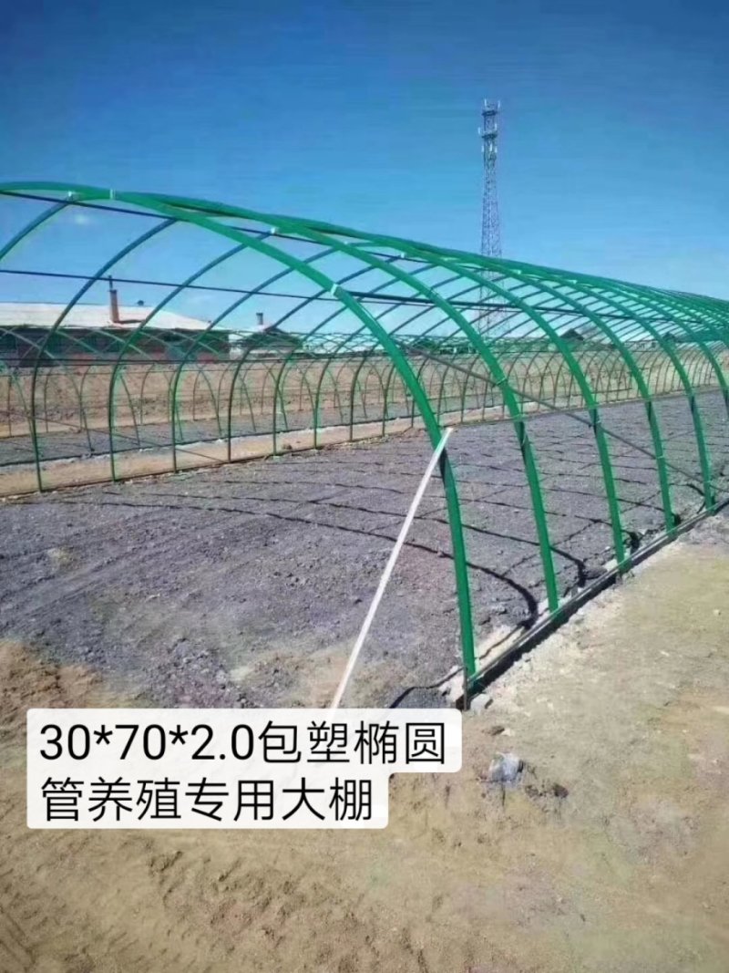 【厂家直销】包塑钢管椭圆钢管养牛养羊养鸡专用钢管