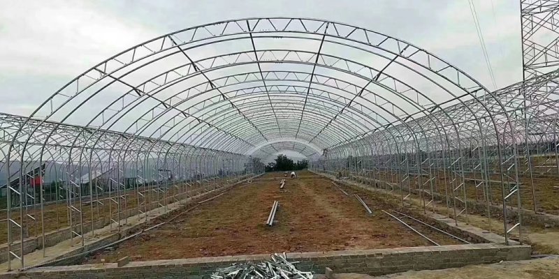 [推荐商家]蔬菜大棚果蔬大棚种植西瓜火龙果草莓多种规格