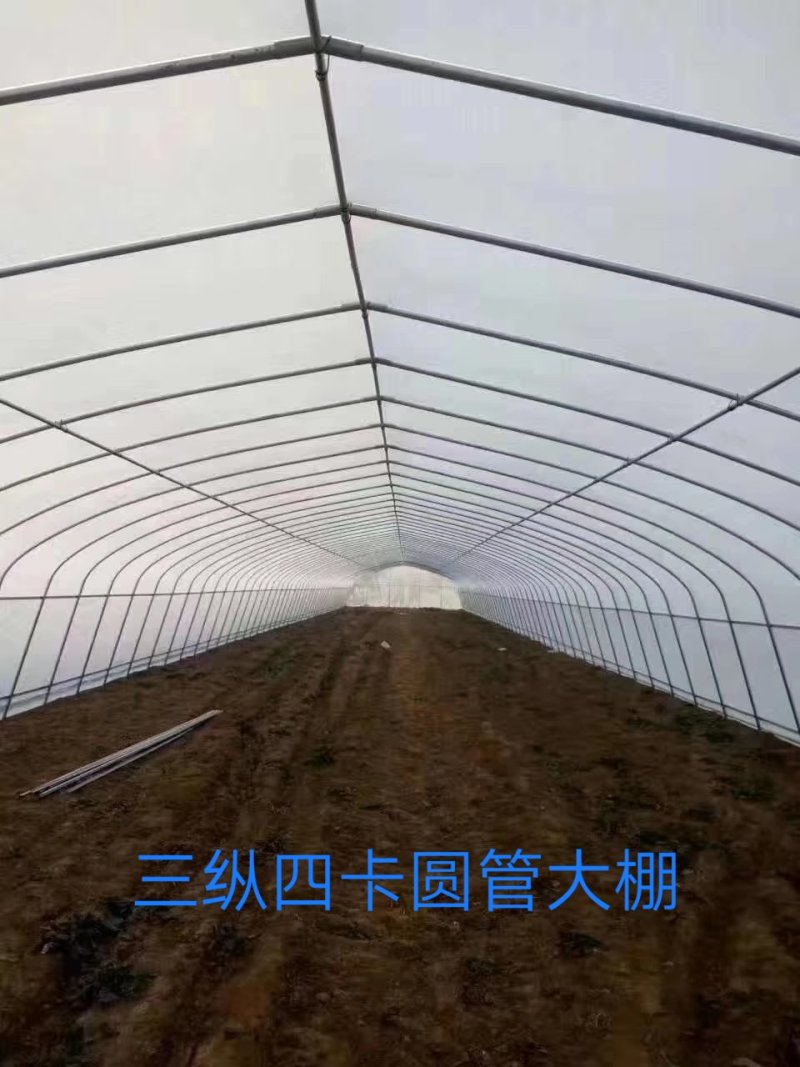 [推荐商家]蔬菜大棚果蔬大棚种植西瓜火龙果草莓多种规格