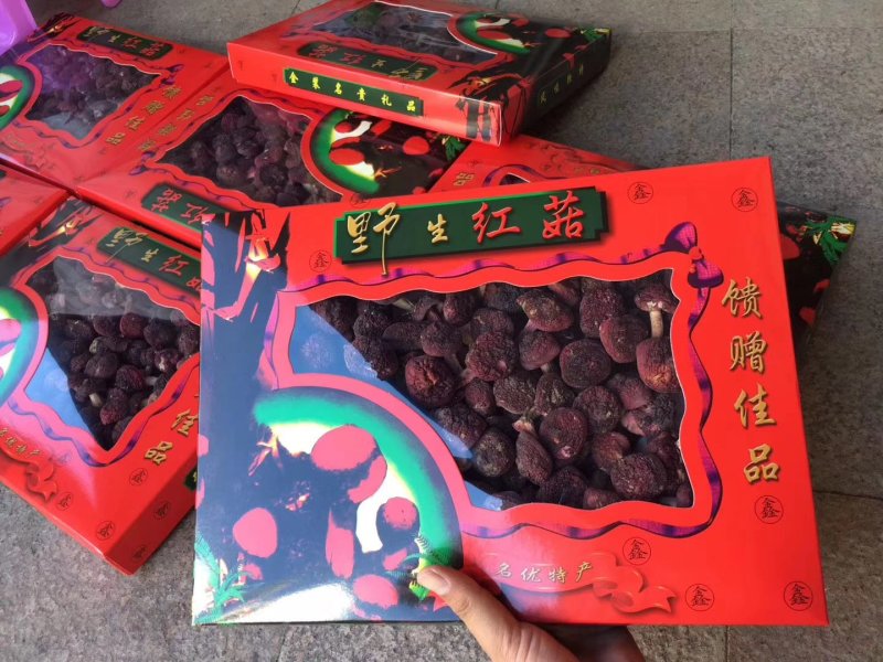 中标，野生红菇二标，冬菇