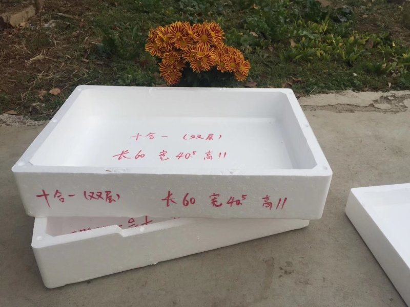 草莓泡沫箱