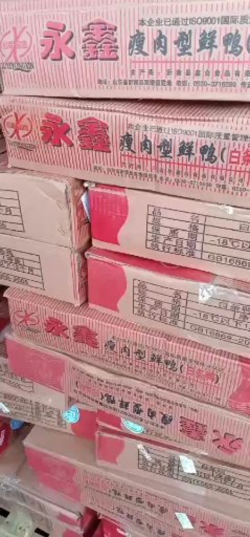 白条鸭