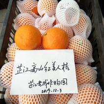 红美人橘爱媛橙山区种植汁多味甜色艳新鲜当季手剥橙