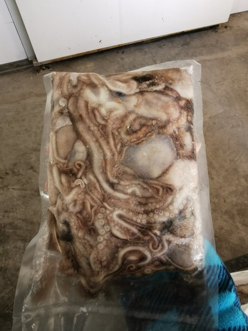 鲜活冷冻的长腿八爪鱼，个个带墨，没泡水，直接活冻