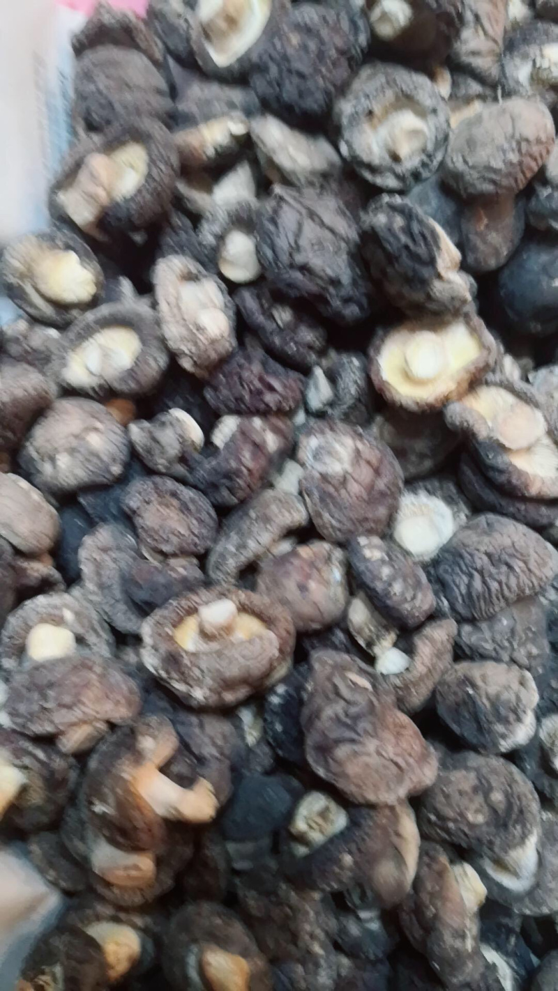 🍓🥖香菇干货农家自产干香菇金钱菇干香菇