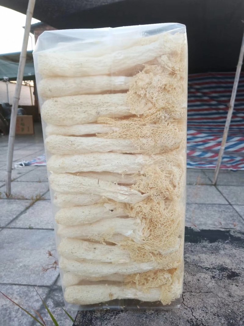 2021新货竹荪年底最后一次便宜卖