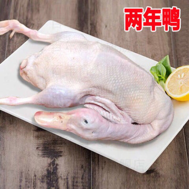 农家鸭子活体土鸭新鲜鸭子老鸭鸭肉麻鸭