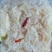 糖醋藕片泡椒藕片酒店凉菜