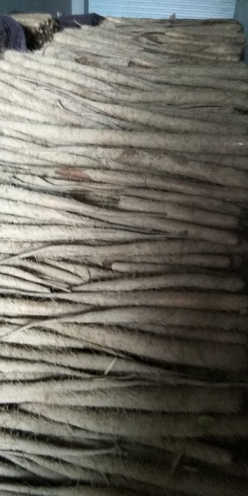 白玉山药，产地直发，量大优惠，