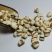【杂粮】薏仁薏仁米薏米仁优质五谷杂粮粗粮包邮