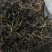 英德红茶