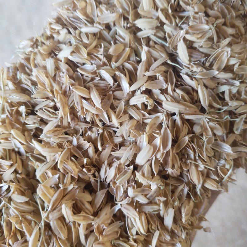 供应优质除尘稻壳压缩稻壳酿酒养殖种植绿化