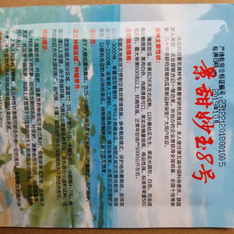 5克景甜妙玉8号甜瓜牛商推荐量大从优