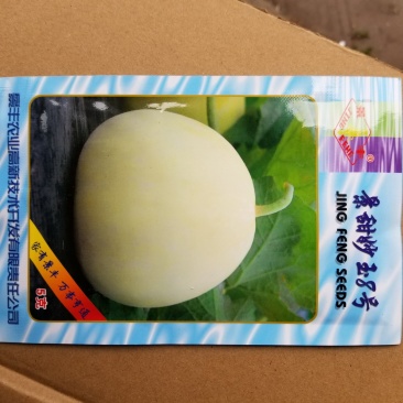 5克景甜妙玉8号甜瓜牛商推荐量大从优