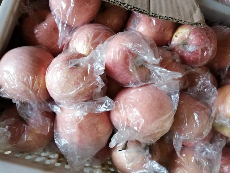 陕西省咸阳市乾县膜袋，纸加膜红富士大量有货。