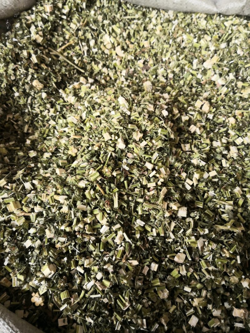 益母草野生产地益母草货干无杂质无添加量大从优品质