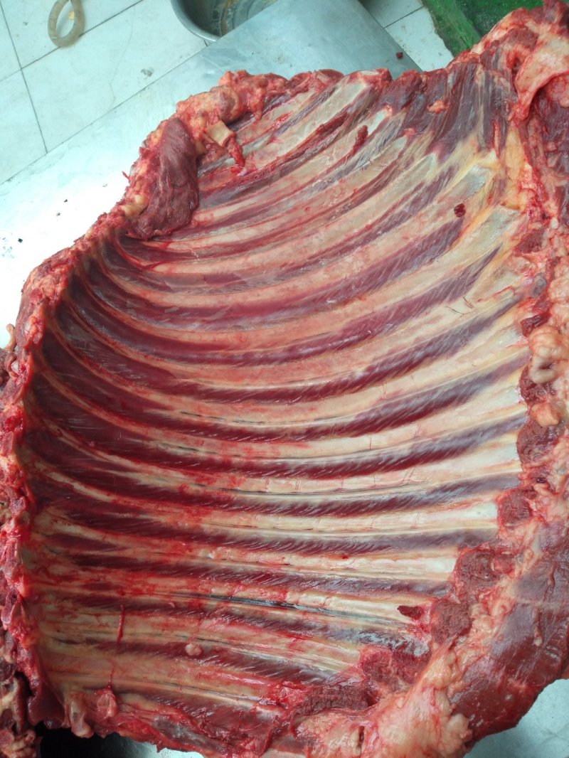 马排，马排骨，现杀带皮、去皮精修去油去骨马肋条肉