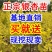银杏苗基地直销价格便宜量大从优