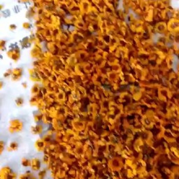 花茶