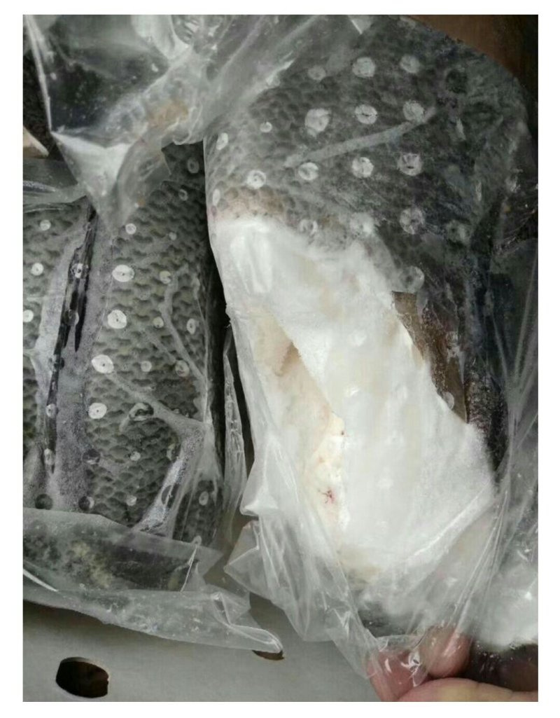 银雪鱼