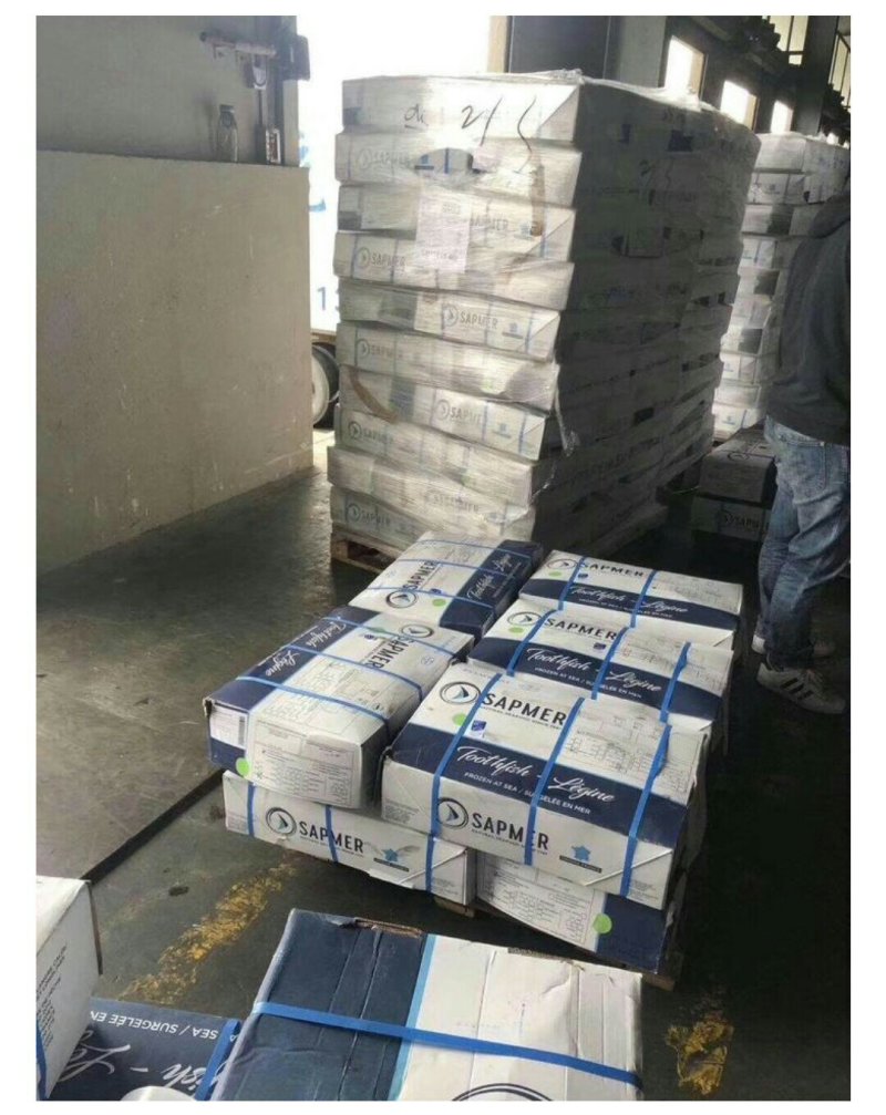 银雪鱼