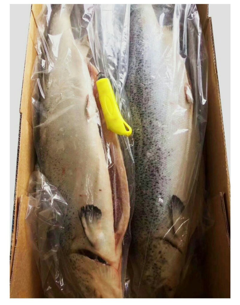 冷冻三文鱼