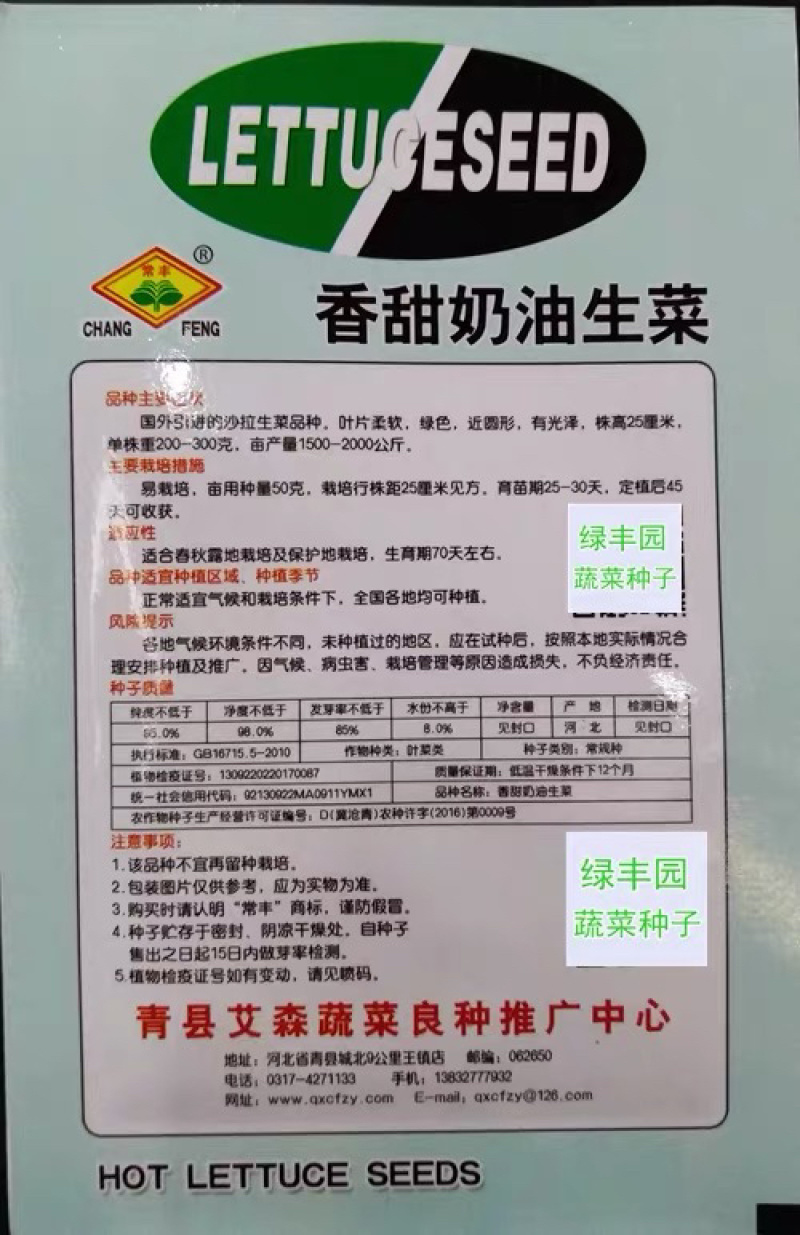 奶油生菜四季奶油生菜种子