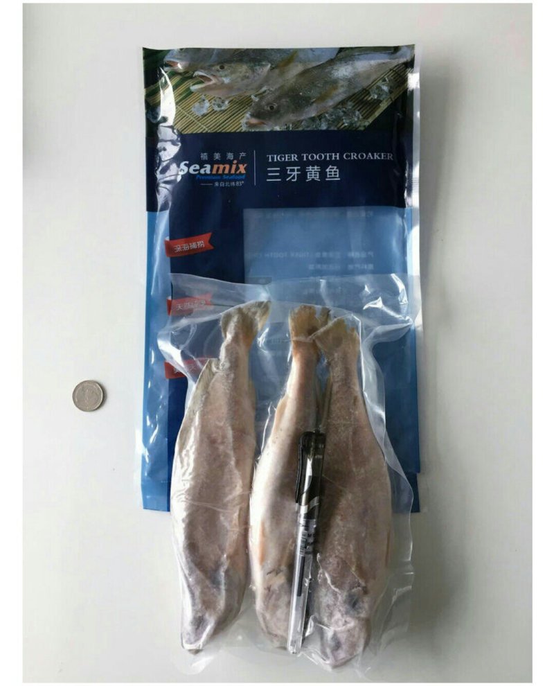 三牙黄鱼