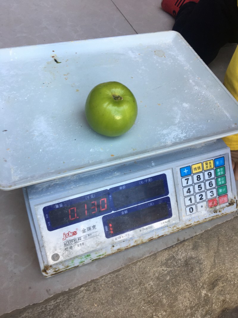 云南省景洪、台湾（盼早归）苹果枣