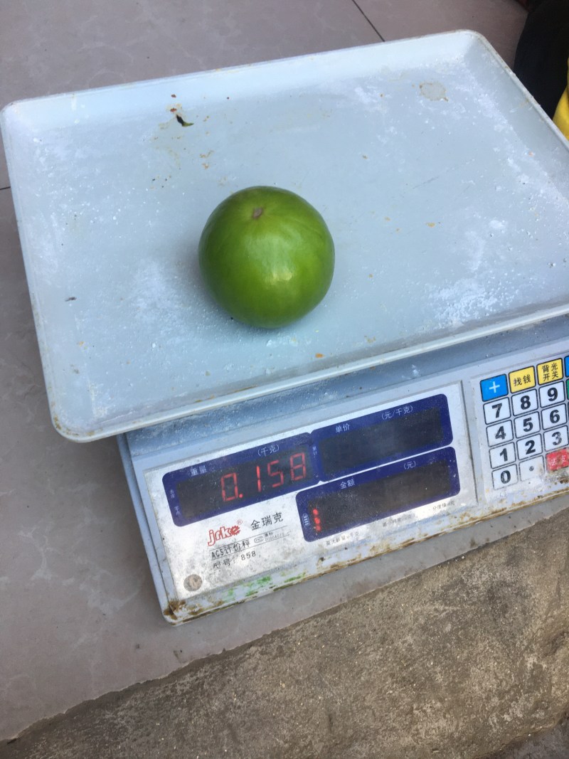 云南省景洪、台湾（盼早归）苹果枣