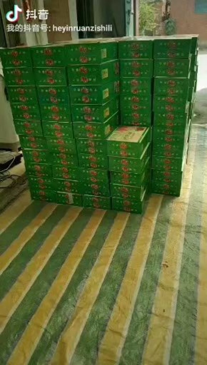 河南河阴突尼斯软籽石榴，量大优先，欢迎各地客商来电咨询