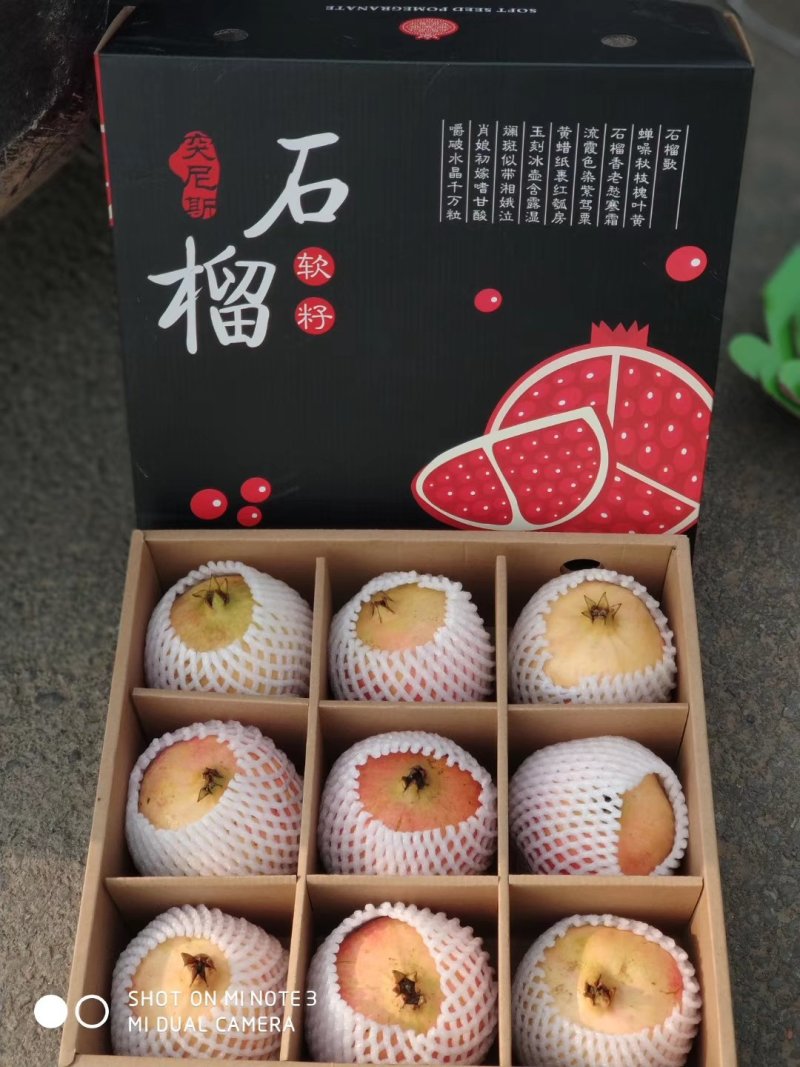 河南河阴突尼斯软籽石榴，量大优先，欢迎各地客商来电咨询