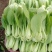油菜