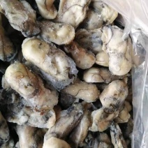 牡蛎肉海蛎子肉牡蛎肉海蛎子肉鲜品海蛎子肉单冻海蛎子肉