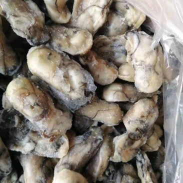 牡蛎肉海蛎子肉牡蛎肉海蛎子肉鲜品海蛎子肉单冻海蛎子肉