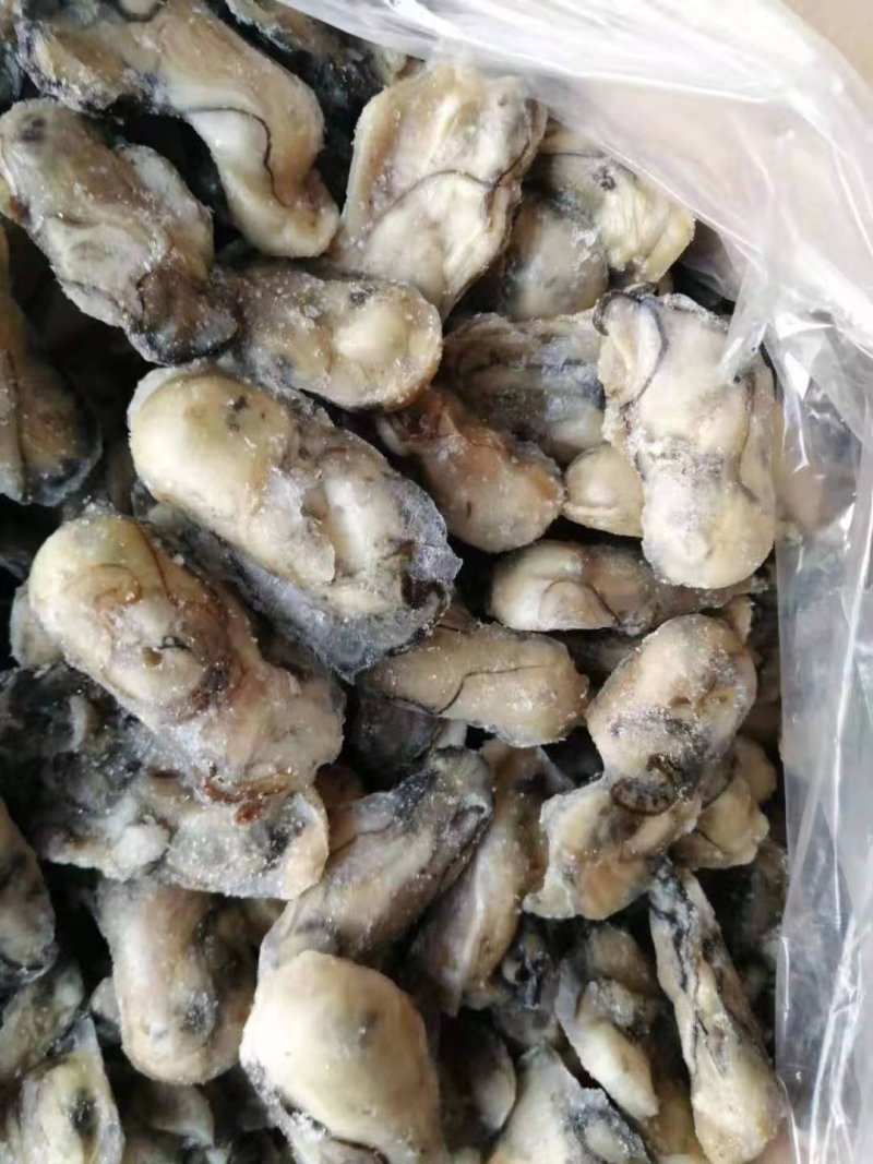 牡蛎肉海蛎子肉牡蛎肉海蛎子肉鲜品海蛎子肉单冻海蛎子肉