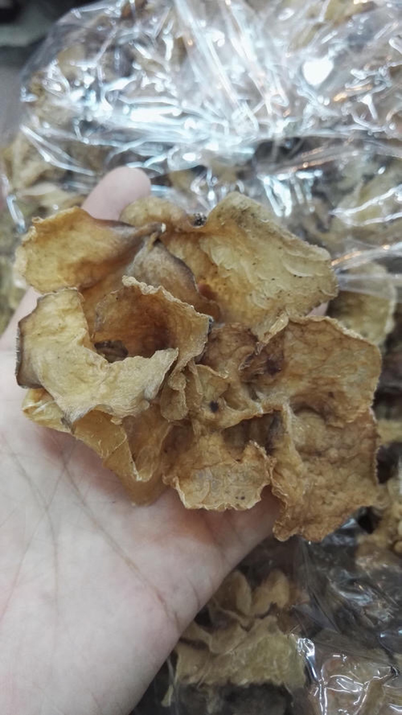 竹耳又名羊肚耳
