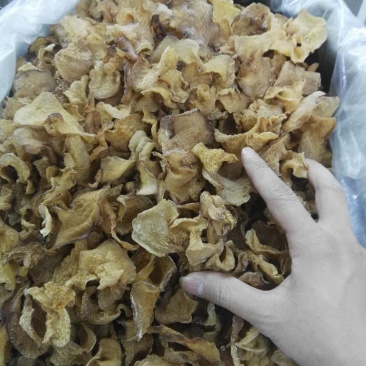 竹耳又名羊肚耳
