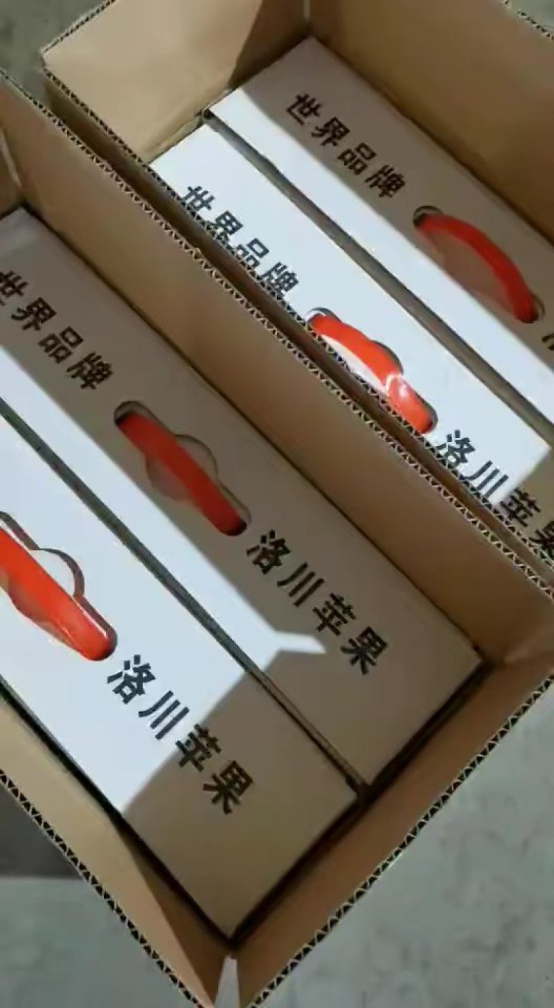 洛川苹果