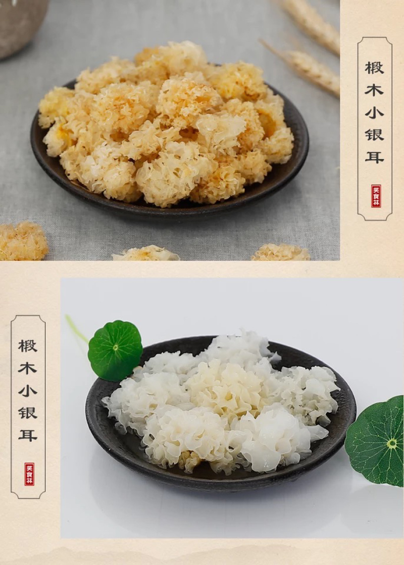 古田椴木小银耳-干货-量大从优【品质保证】产地直销