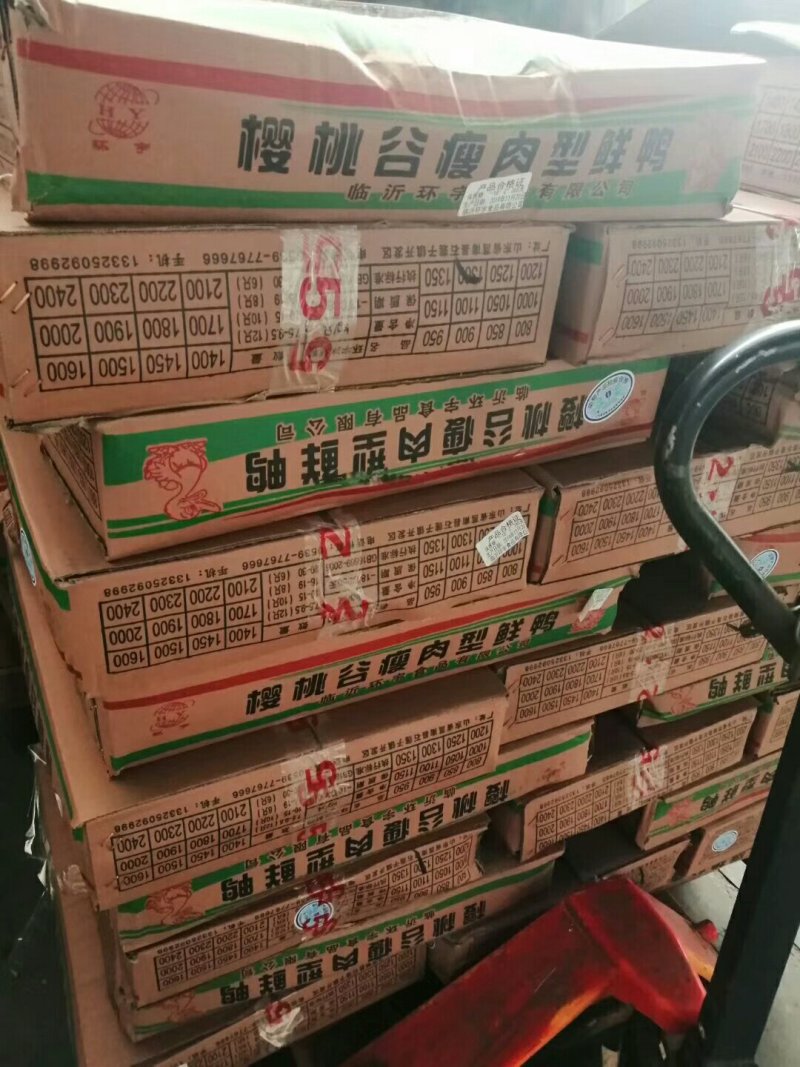白条鸭