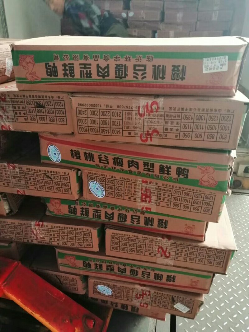 白条鸭
